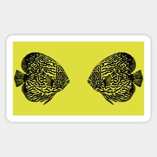 Discus Fish in Love - aquarium lovers fish design Magnet